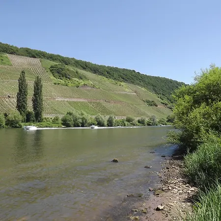 Appartement Ferienweingut Winnebeck *