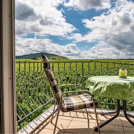 Ferienweingut Winnebeck アパート