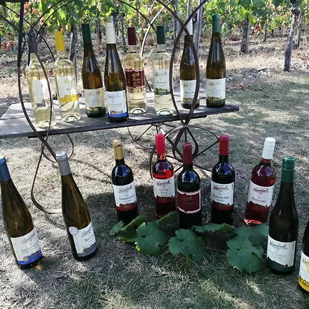 Ferienweingut Winnebeck アパート Köwerich