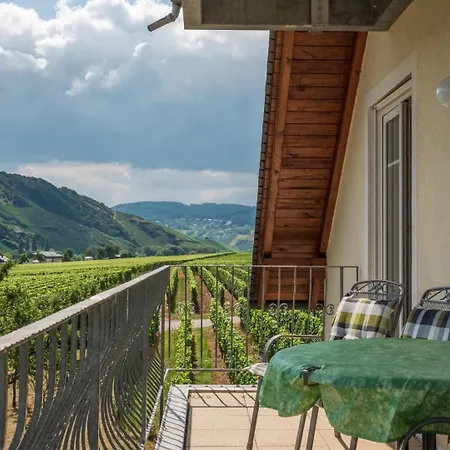 Appartement Ferienweingut Winnebeck *