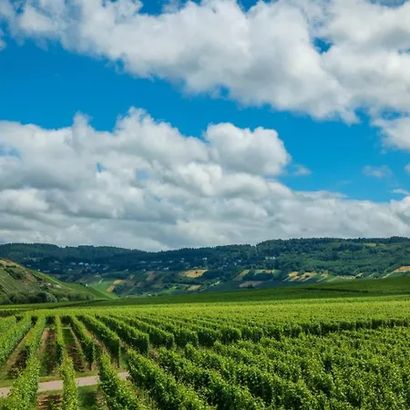 Ferienweingut Winnebeck Appartement