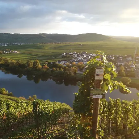 Ferienweingut Winnebeck *