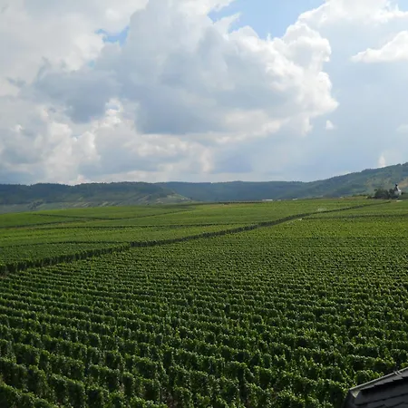 Ferienweingut Winnebeck Appartement