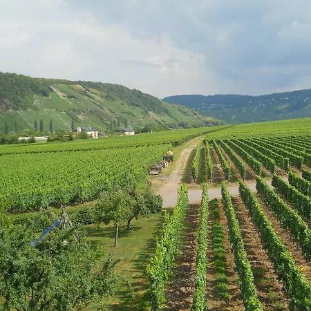Ferienweingut Winnebeck Appartement Köwerich