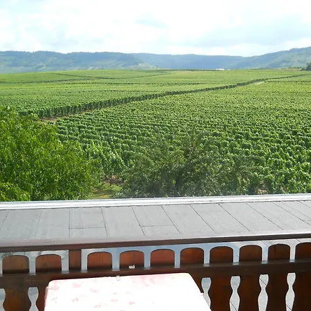 Ferienweingut Winnebeck Appartement