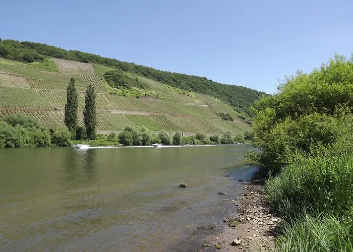 Appartement Ferienweingut Winnebeck *