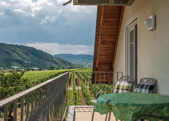Appartement Ferienweingut Winnebeck *