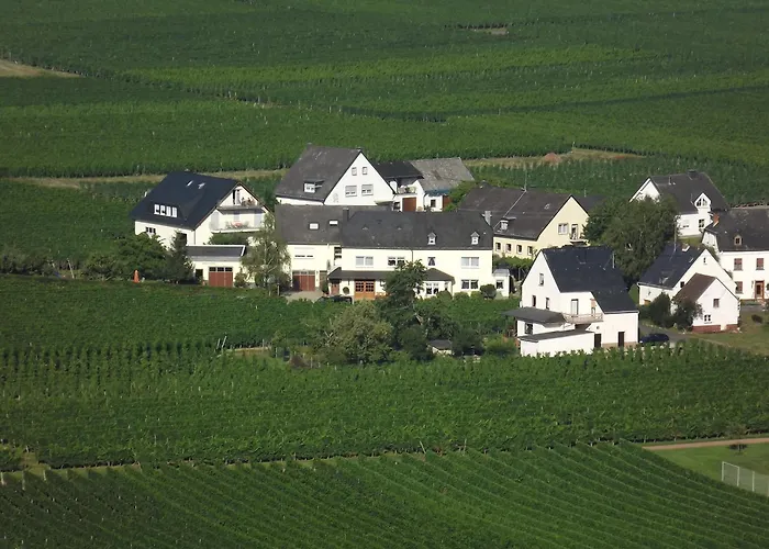 Ferienweingut Winnebeck *