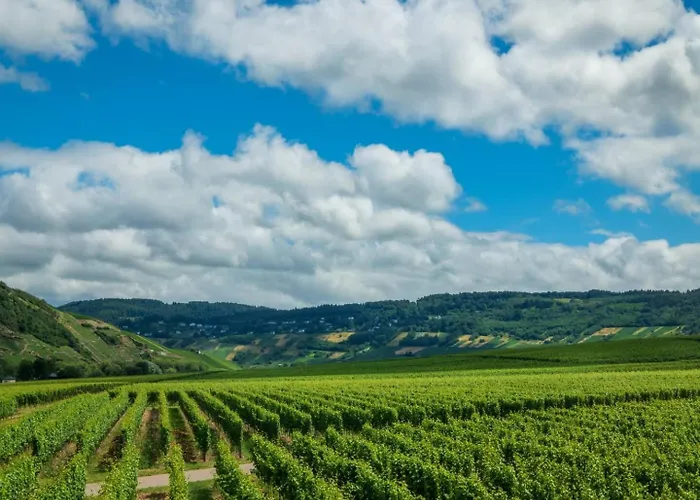 Ferienweingut Winnebeck Appartement