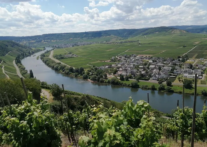 Ferienweingut Winnebeck Appartement *