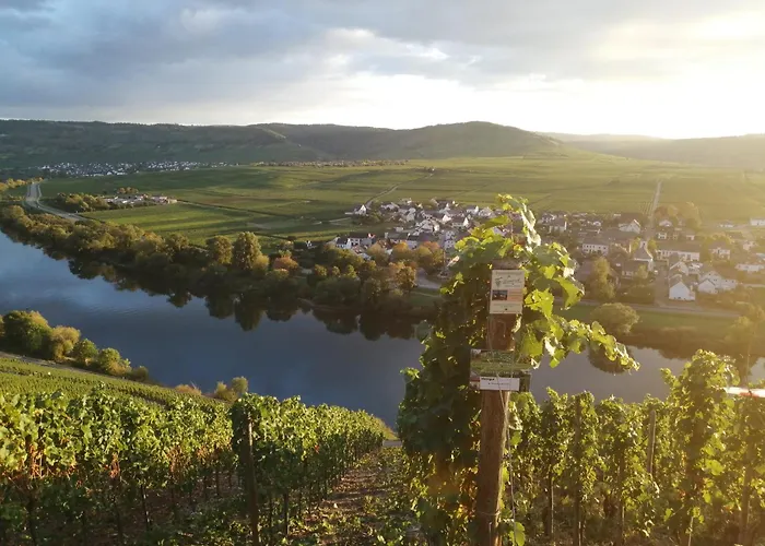 Ferienweingut Winnebeck *