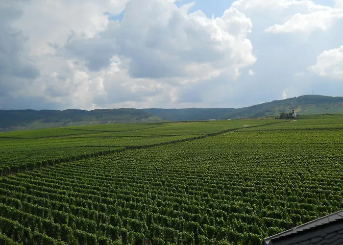 Ferienweingut Winnebeck Appartement